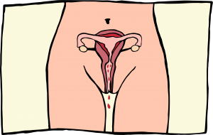 menstruation