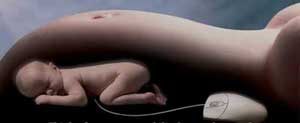 reproductive control