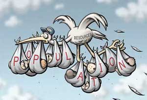 the reproductive process